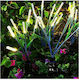Solarleuchte Blumentopf mit Warmes Weiß Licht