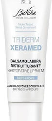 Bionike Lip Balm Bionike Triderm Xeramed Lip Balm 10ml