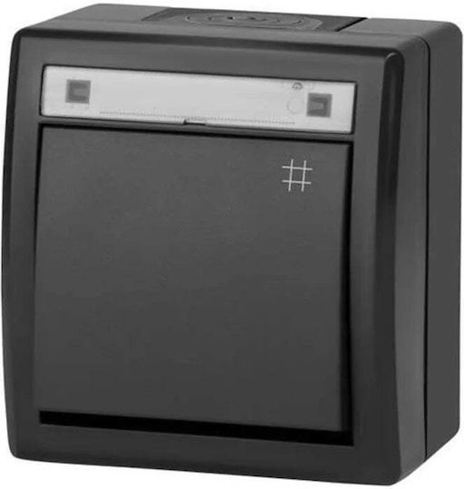 Elektro Plast Waterproof Wall-Mounted Wall Switch Two-Way with Frame Aller Retour Grey