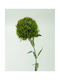 Künstliche Blume Dianthus Grüne Dekorative 58cm