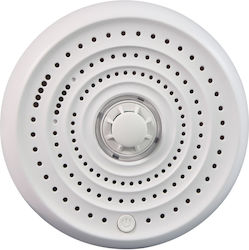 Mercury Detector De Temperatură