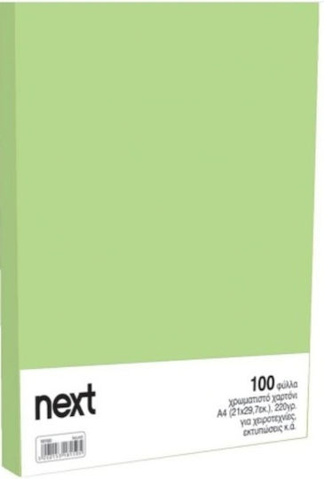 Next Carton Colaj 21x29.7 cm Verde