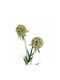Künstliche Blume Weißer Skabioza
