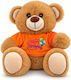 Friendlies Plüsch- und Kuscheltiere Teddybär 20 cm