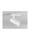 Fan Europe LED Warm White Spot In White Colour