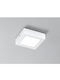 Fan Europe Square LED Panel 6W with Warm White Light 3000K