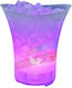 Champagners Simple Transparentă 5lt