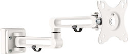 InLine (23183B) Επιτοίχια Βάση Οθόνης έως 32"