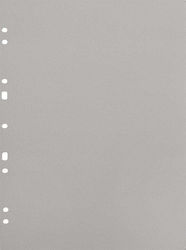 Focus Carton Ανταλλακτικά Φύλλα Ντοσιέ Ringbinder A4 Γκρι 30 Τεμάχια Focus Carton Ανταλλακτικά Φύλλα Ντοσιέ Ringbinder A4 Γκρι 30 Τεμάχια
