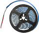 Kanlux Waterproof 12V LED Strip Natural White Light 3m