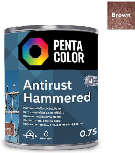Pentacolor Korrosionsinhibitor Lösung 0,75l Braun Geschmiedet Geschmiedet