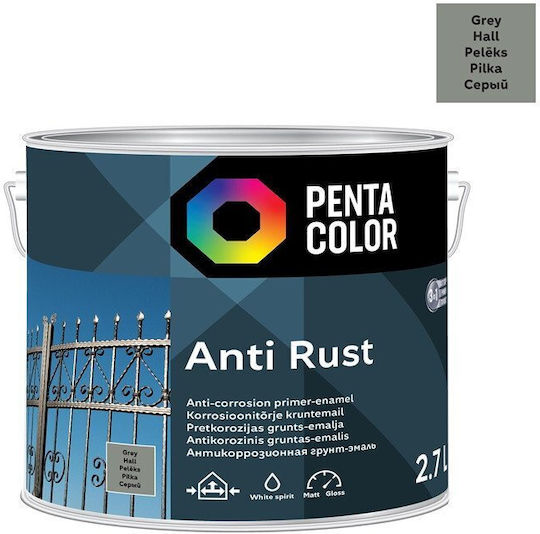 Pentacolor Korrosionsinhibitor Lösung 2.7l Grau
