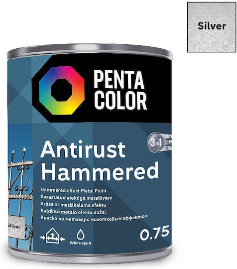 Pentacolor Korrosionsinhibitor 0.75l Silber Geschmiedet