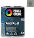 Pentacolor Korrosionsinhibitor 0,9 l Grau