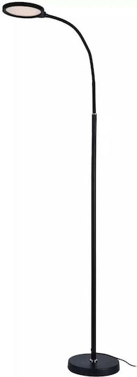 Domoletti Floor Lamp H160xW18cm Black