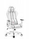 Diablo X-One 2.0 Fabric Gaming Chair with Adjustable Arms White
