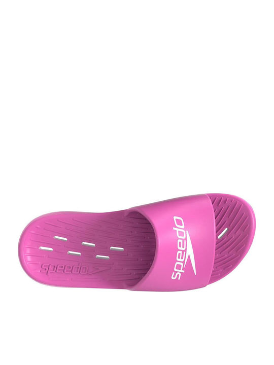Speedo Speedo