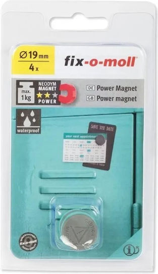 Wooden Box Water Resistant Magnet 3562825 4 Pieces
