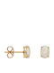 Women's Earrings 14K Iridescent Stone