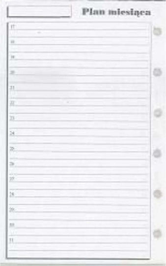 Antra Einlege-Organizer K Plan Monat 270080