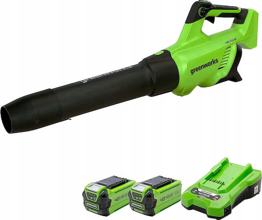 Greenworks GR2406707UC Handheld Akku Laubbläser 24V Solo mit Maximaler Luftgeschwindigkeit 210km/h