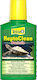 Tetra Reptoclean Liquid Formula 100ml Βακτήρια Καθαρισμού Νερού Τεραρίου