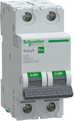 Schneider Electric Automatischer Leistungsschalter 20A Zweipolig