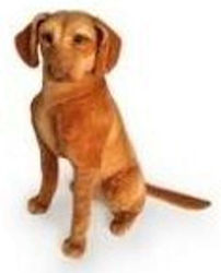 Dubi Puppy 44 cm