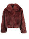 Short Women's Burgundy Fur