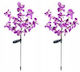 Maximex Set 2 Solarleuchten