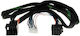 Axton Specific Dsp P&p Ford Focus Transit Turneo