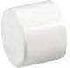 Nibco PVC Cap 3/4" 447-007