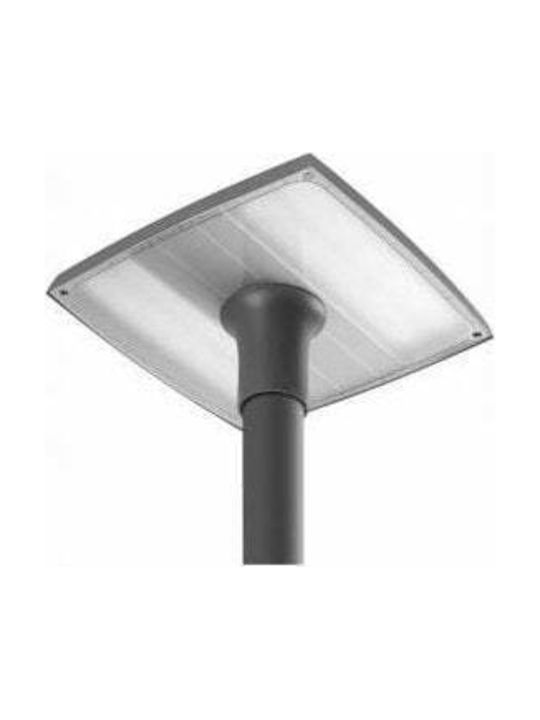 Lena Lighting LED Road Lamp 60W