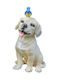 DKD Home Decor Decorative Dog from Ceramic Material 20.5x18.5x32cm
