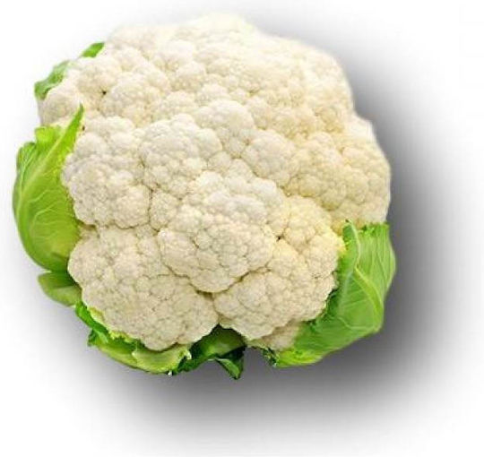 Sakata Sakata Blumenkohl Saatgut Incline 10000Stück