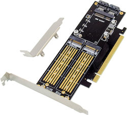 InLine PCIe-Karte für M.2 / mSATA Anschluss InLine PCIe-Karte für M.2 / mSATA Anschluss