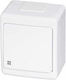 PAWBOL Waterproof Recessed Wall Switch One-Way with Frame Aller Retour White
