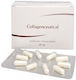 Herb Pharma Collagenceutical 60 κάψουλες