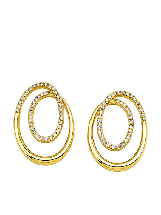 Silver Gold Plated Earrings Design Zircon Pl04053981