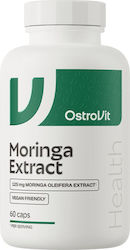 OstroVit Екстракт от моринга 60 капсули
