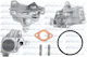 Dolz Water Pump R220