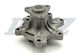 Dolz Water Pump T205
