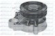 Dolz Water Pump B320