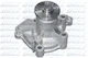Dolz Water Pump H204