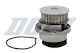Dolz Water Pump A189