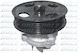 Dolz Water Pump N208