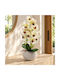 Keskor 22304-1 Künstliche Blumenkomposition Orchidee 14x42 Ecru Bordeaux Kunststoff Pflanzkübel