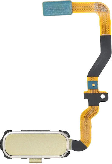 Home Button Flex Samsung Galaxy S7 Gold Platinum