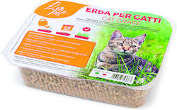 Leopet Iarbă pentru tulburări gastrointestinale Leopet Iarbă pentru tulburări gastrointestinale