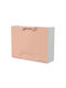 Kunststoff Schuhorganisator 51x17.3x41cm